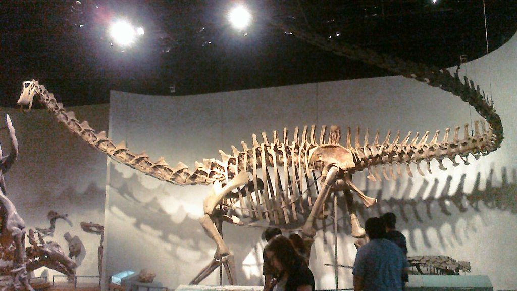 Psychology Says People Fascinated by Extinct Creatures Often Feel the Modern World Has Lost Its Sense of Wonder