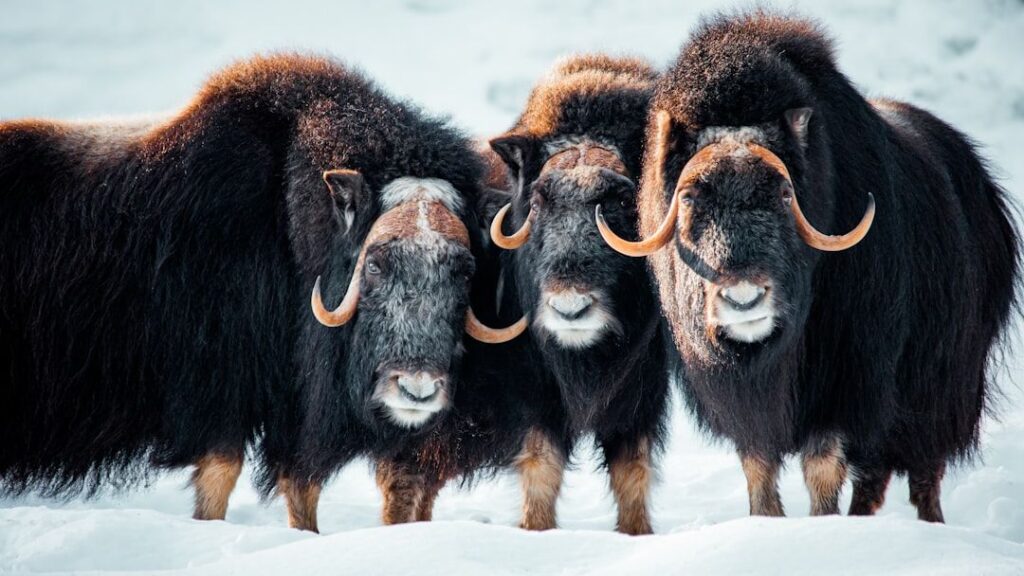 8 Ice Age Creatures That Survived Longer Than Most People Think