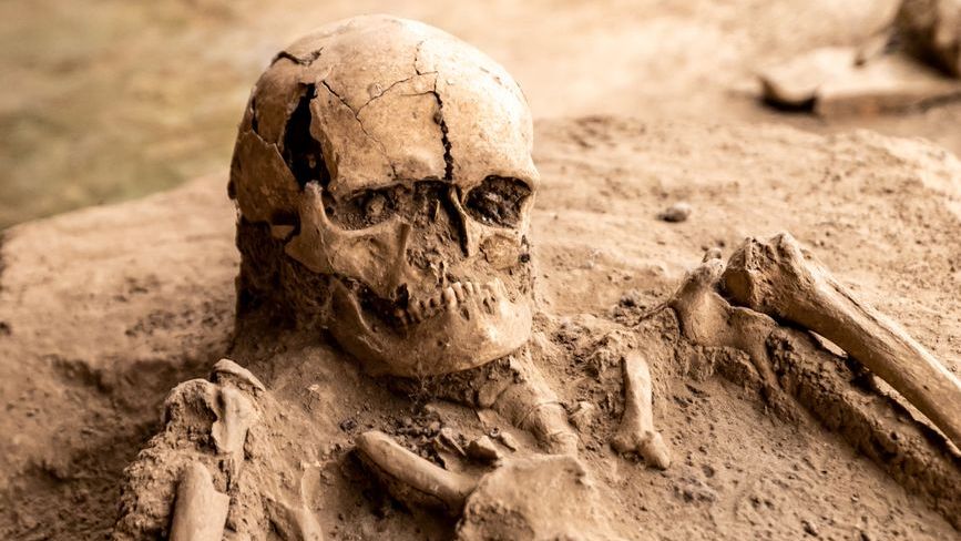The Ancient Child Who Changed Everything Scientists Thought They Knew About Human Evolution