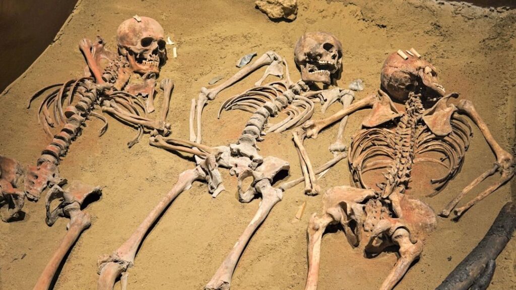 8 Ancient Human Skeletons That Rewrote History Books