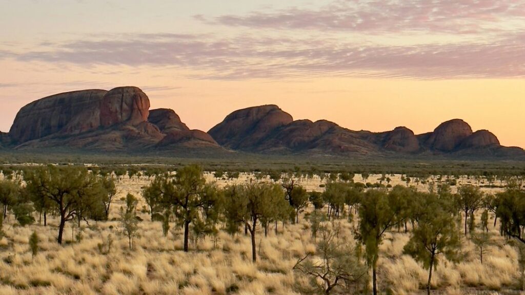 Psychology Says Humans Are Naturally Drawn to Landscapes That Resemble Ancient Africa