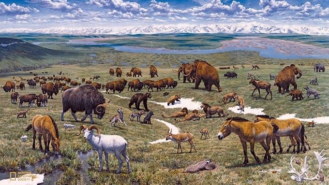 The Ice Age Animals That Were So Enormous They'd Make an Elephant Look Like a House Pet