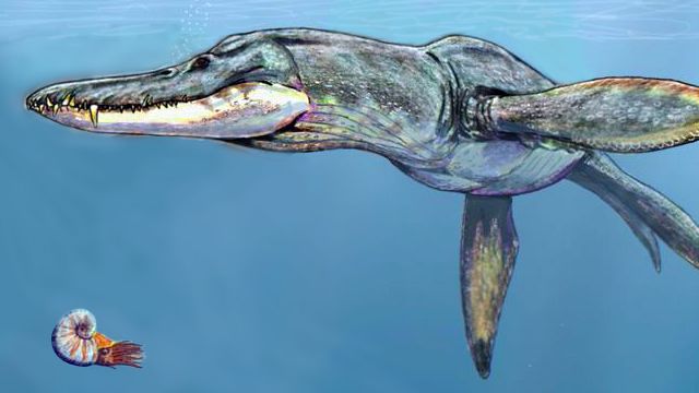 9 Sea Monsters From the Dinosaur Era That Make Sharks Look Like Goldfish