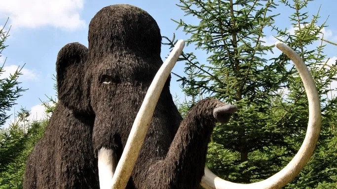 What Ancient Humans Were Actually Doing While Woolly Mammoths Roamed the Earth