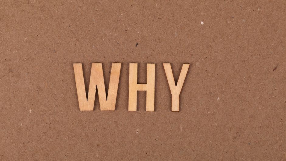 The First Time a Human Probably Asked "Why?"