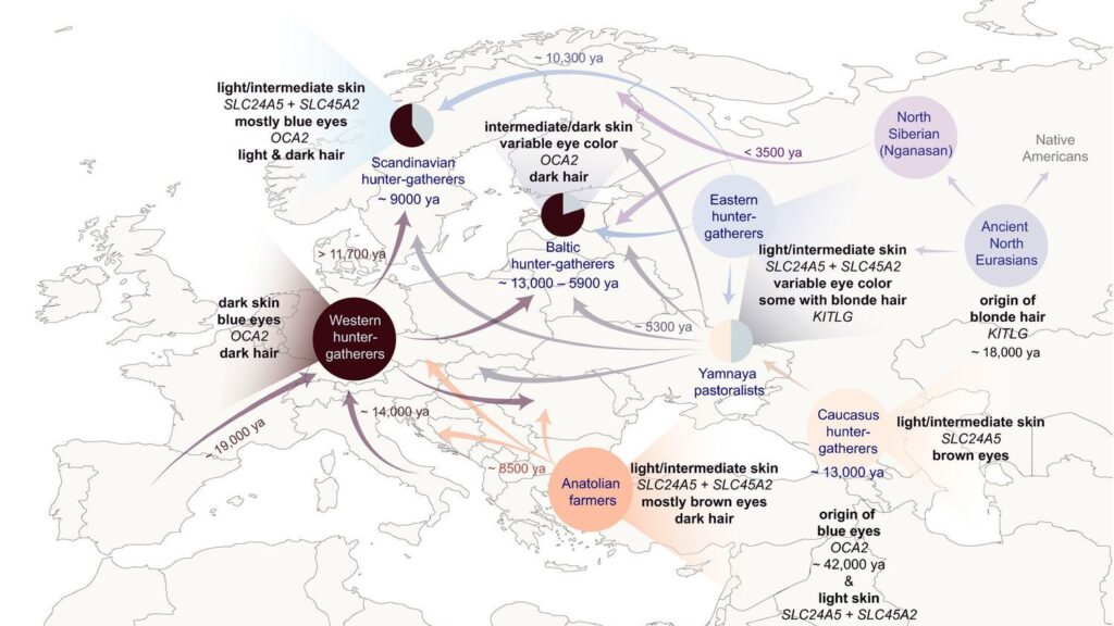 6 Ancient Human Migration Routes That Scientists Have Only Recently Been Able to Map With Confidence