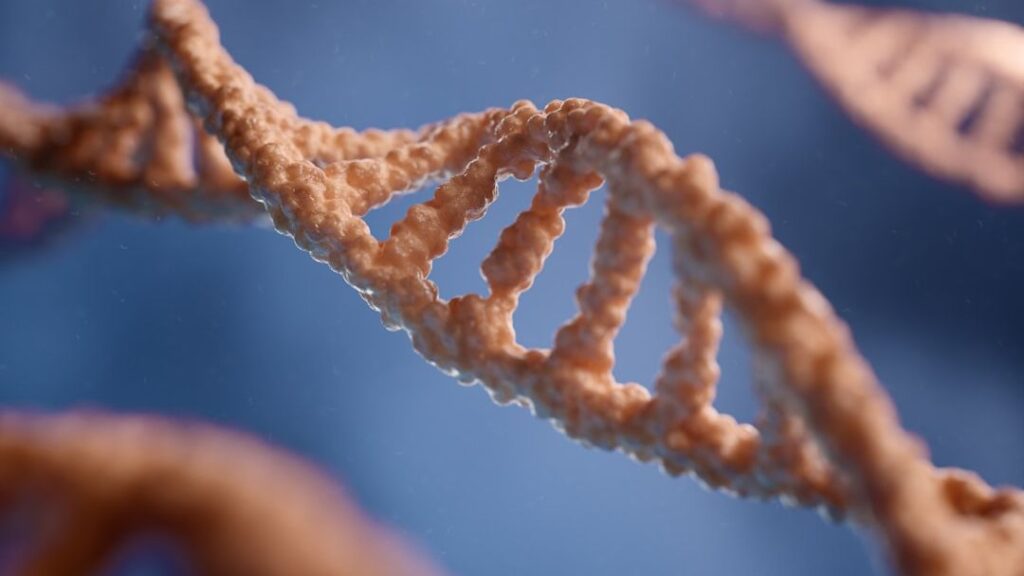 What DNA Analysis Has Revealed About Neanderthals That Completely Changed the Conversation
