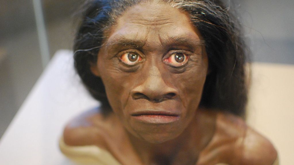 The Lost Human Species That Shared the Planet With Our Ancestors