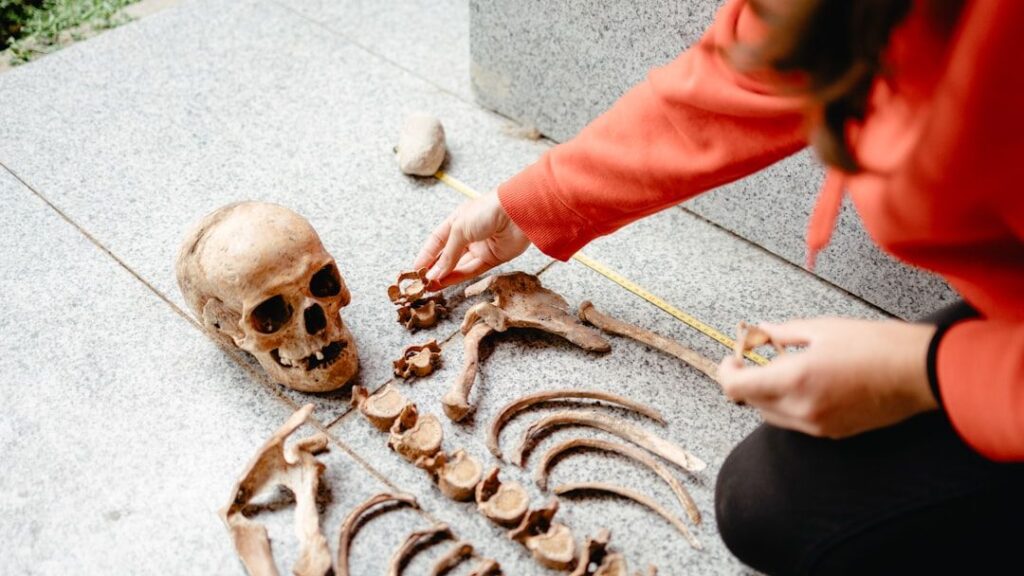The Cave Girl, the Ice Man, and the Boy King: History's Most Remarkable Human Discoveries