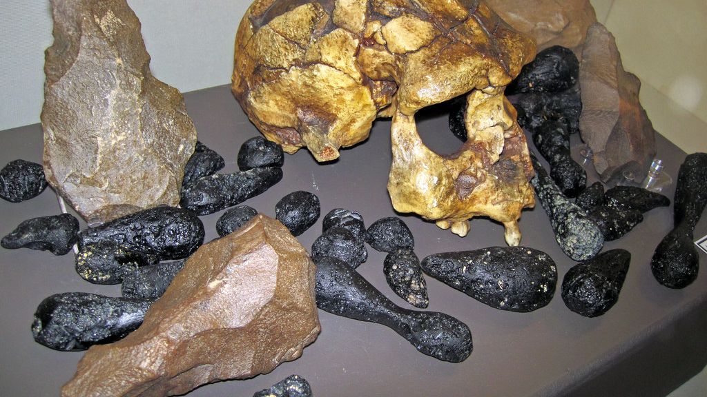 The Most Famous Human Fossils Ever Discovered and What They Revealed
