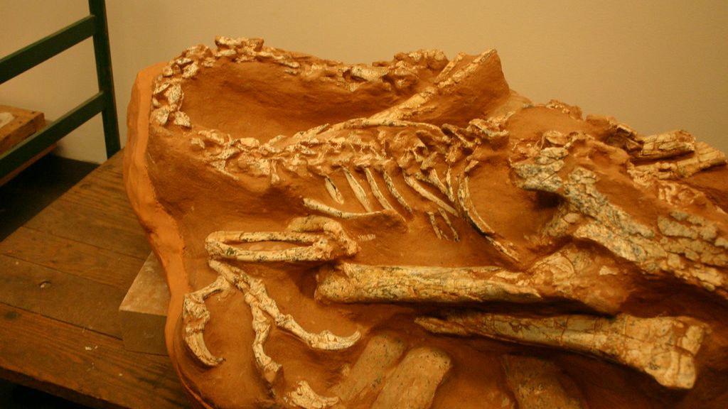8 prehistoric natural disasters so catastrophic they altered the entire course of evolution on Earth
