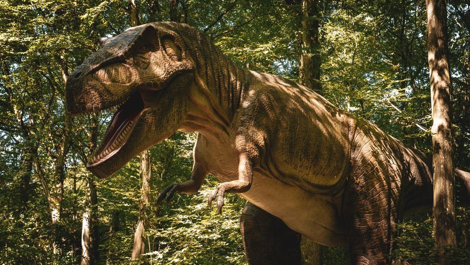 11 Things Your Mental Image of T-Rex Gets Completely Wrong According to Scientists