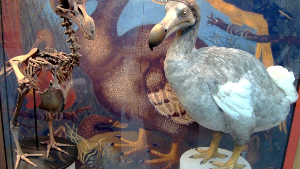 10 Creatures That Disappeared During Humanity’s Rise to Civilization