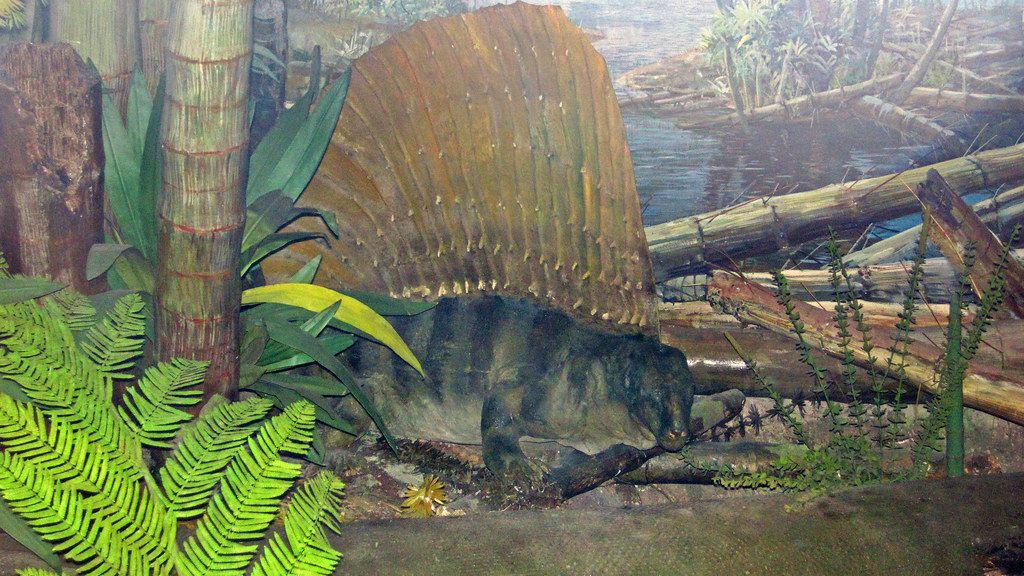 12 Prehistoric Creatures Scientists Quietly Stopped Calling Dinosaurs - And the Reason Changes Everything