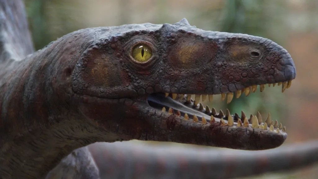 14 Things Scientists Quietly Admitted About Dinosaurs After Decades of Teaching the Opposite