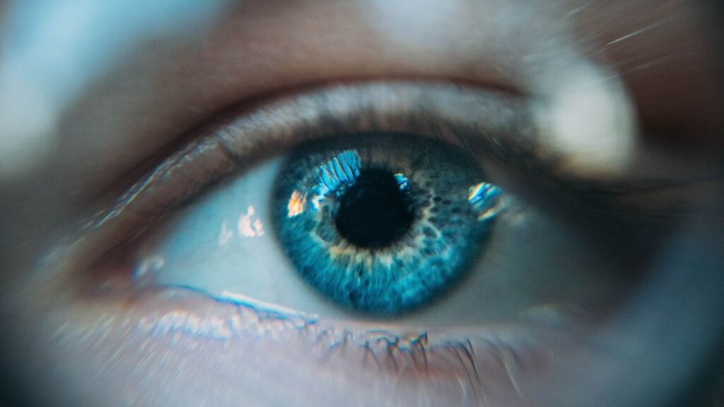 Evolutionary Science Says the Whites of Human Eyes Evolved Specifically to Let Other Humans Track Your Gaze - Every Other Primate Has Dark Sclera That Conceals Gaze Direction and the Difference Was Not Accidental