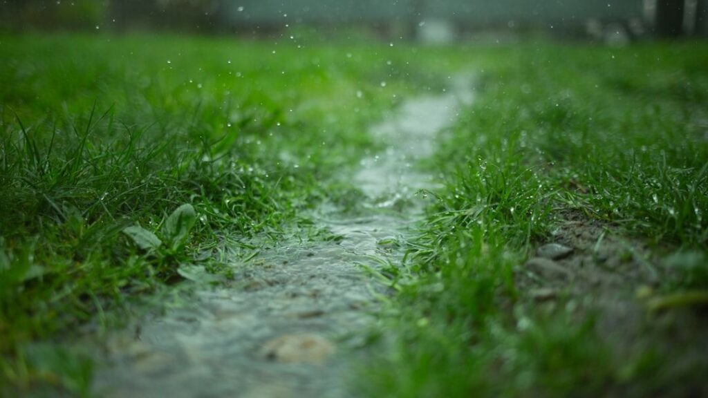 Psychology Says the Smell of Soil After Rain Triggers a Chemical Response in Your Brain That Evolved Over Millions of Years to Signal That the Environment Was Safe Fertile and Worth Remaining In