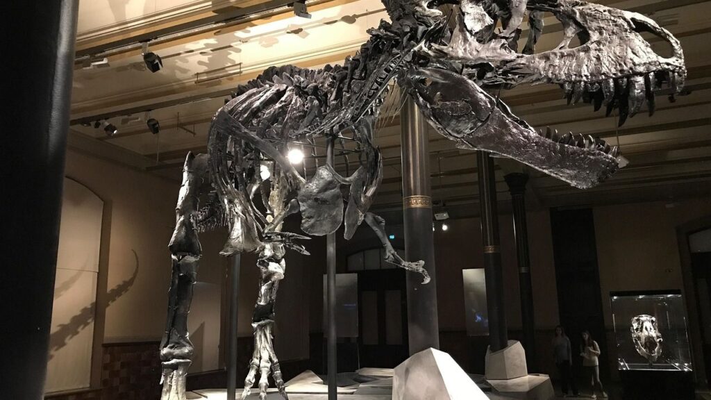 The Extraordinary Story of the World's Most Complete T. Rex Skeleton and What It Revealed