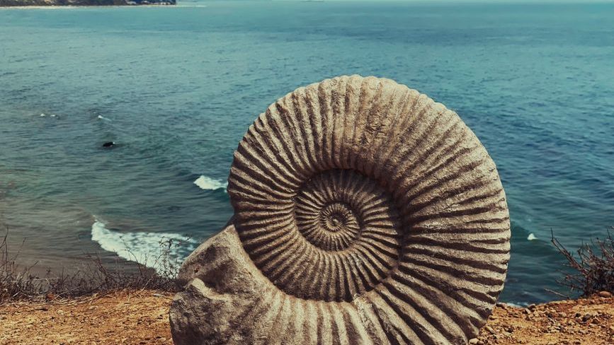 8 Things About the Ancient Oceans That Sound Like Science Fiction