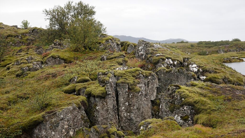 Geoscience Says the Ground You Stand On Has Been Ocean Floor, Mountain Peak, and Part of Other Continents - and It Still Isn't Finished Changing