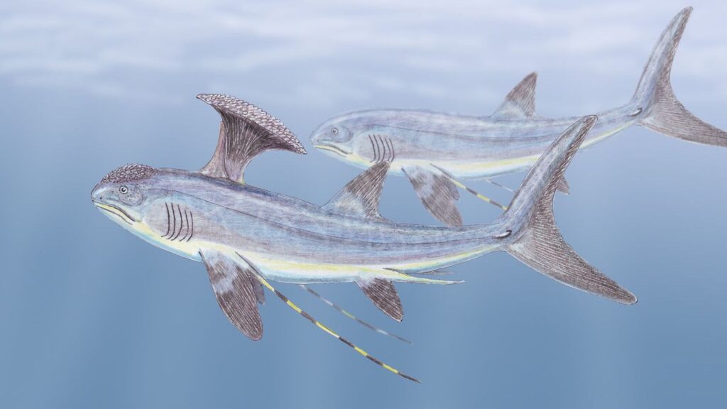 10 Incredible Creatures That Ruled the Seas Before Modern Sharks
