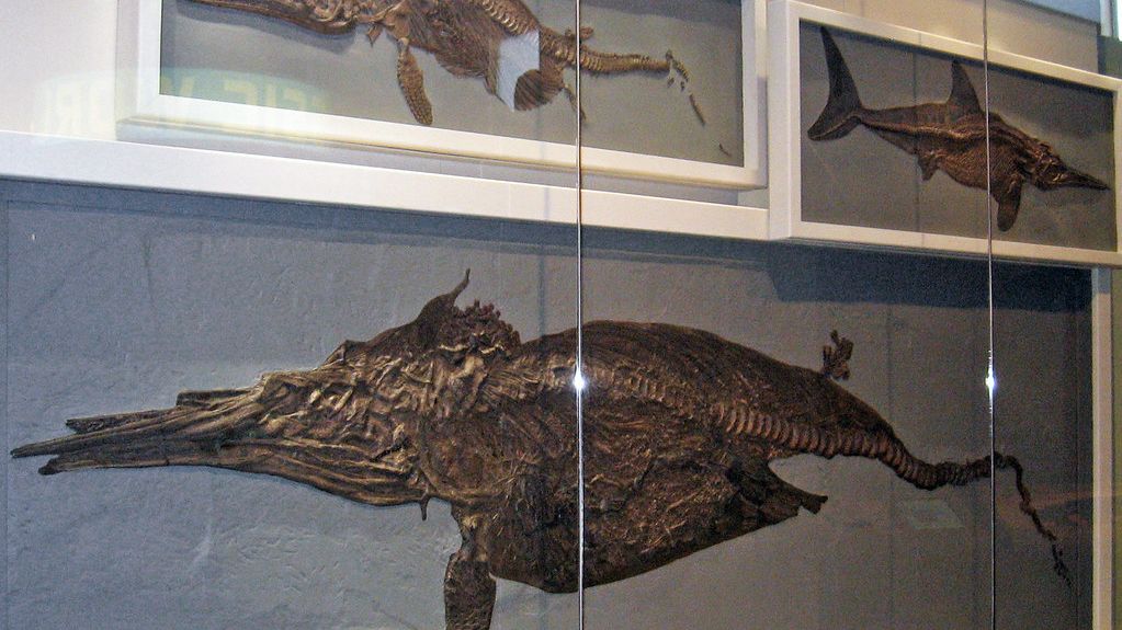The Lost World Beneath the Waves Where Giant Reptiles Once Reigned