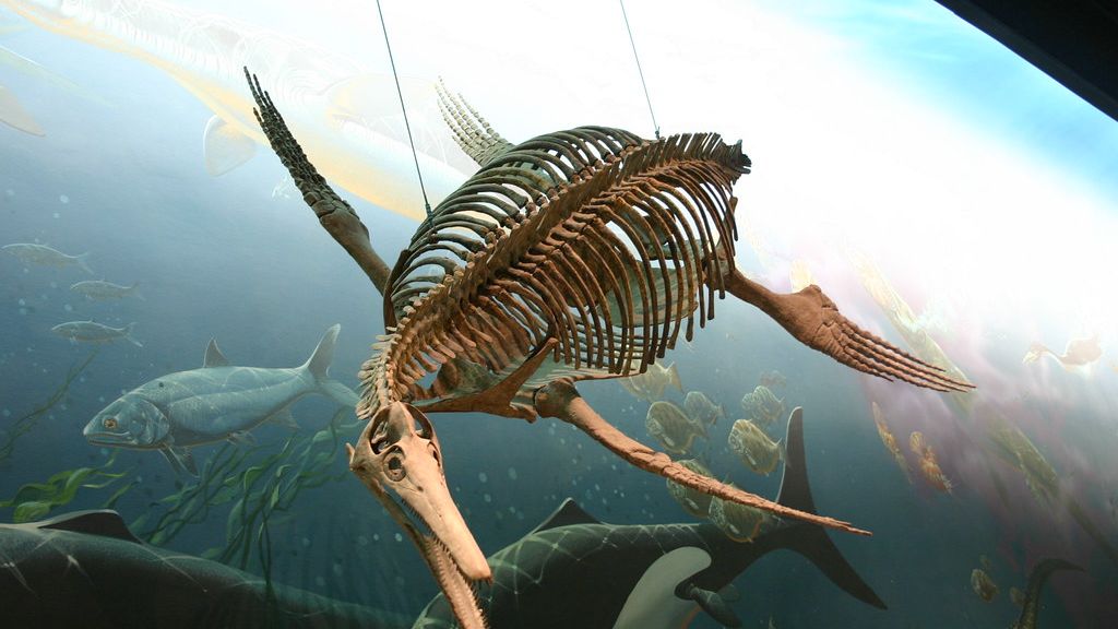 What Scientists Learned From the Fossils of Earth's Greatest Sea Predators