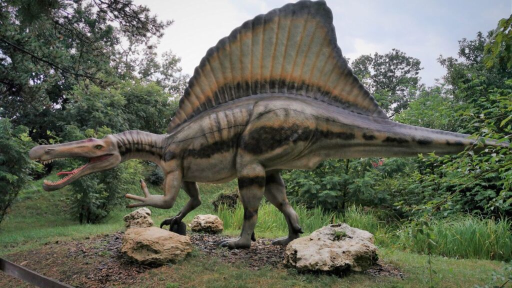 The Dinosaur That Carried a Sail on Its Back and Why Scientists Still Debate It