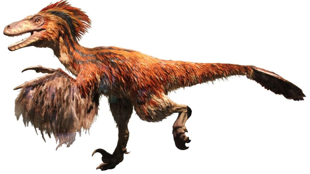 Why Deinonychus Changed the Way We Think About Dinosaurs Forever