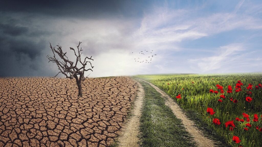 How Climate Change Shaped Human Evolution Over Millennia
