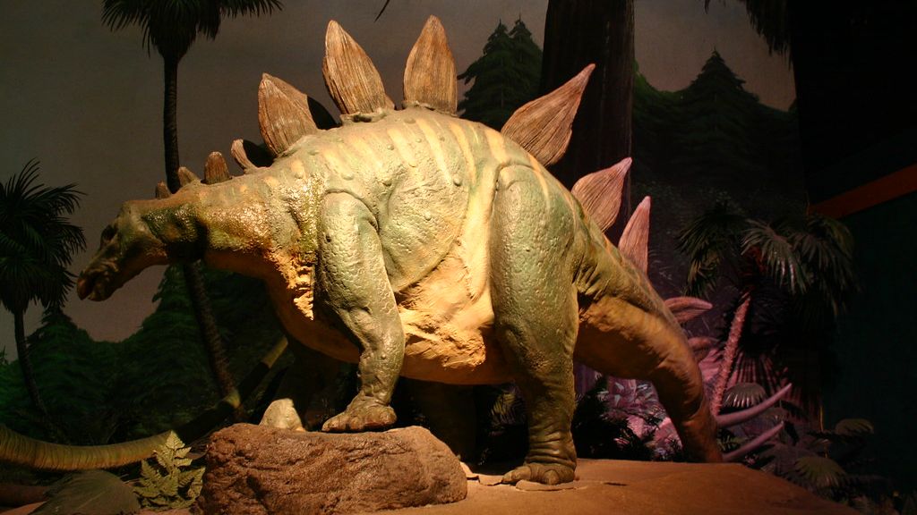 10 amazing facts of the stegosaurus