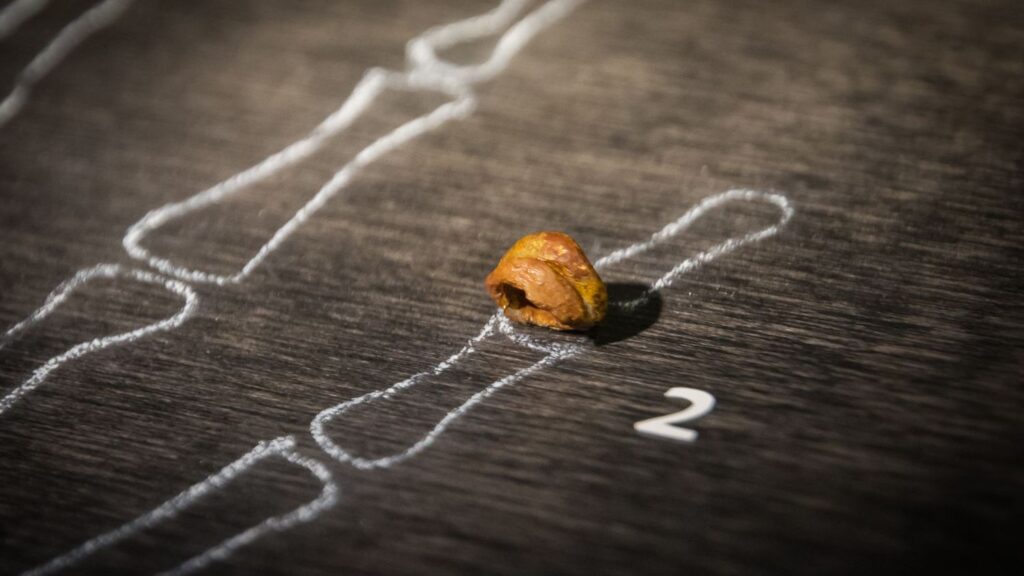 The Human Species We Discovered Only After Finding a Finger Bone