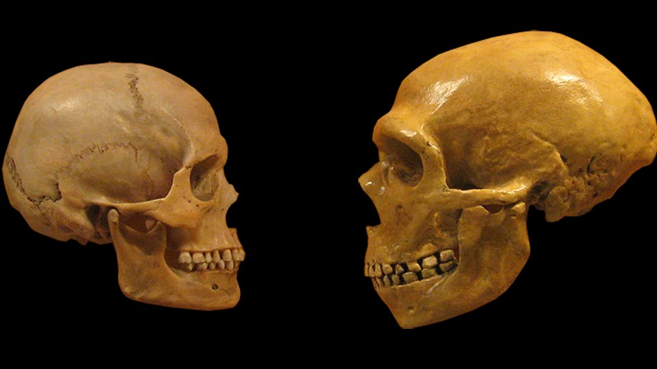 What Ancient DNA Revealed About Humanity's Most Mysterious Relatives