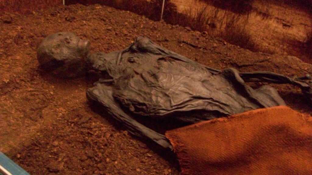 What Scientists Learned From the World's Best-Preserved Ancient Human Bodies