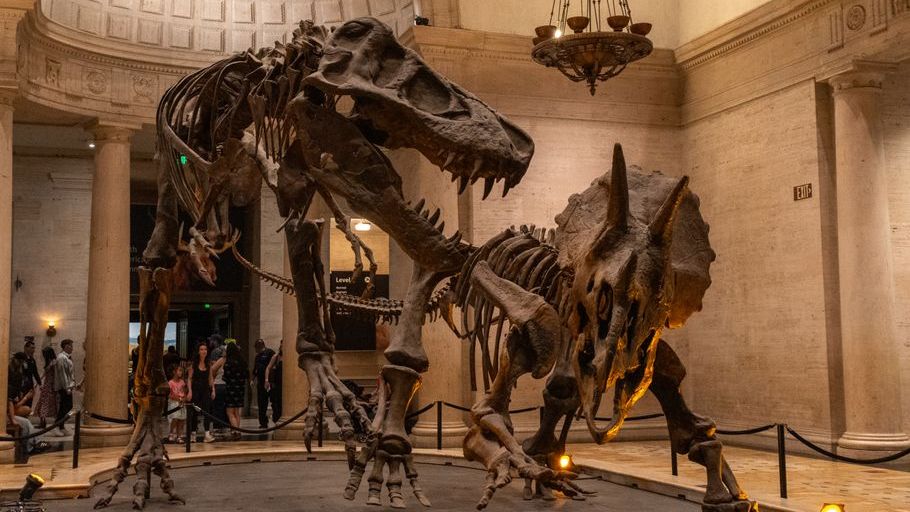 Why So Many Museum Displays Still Look Like Dinosaurs Are Posing for a School Photo