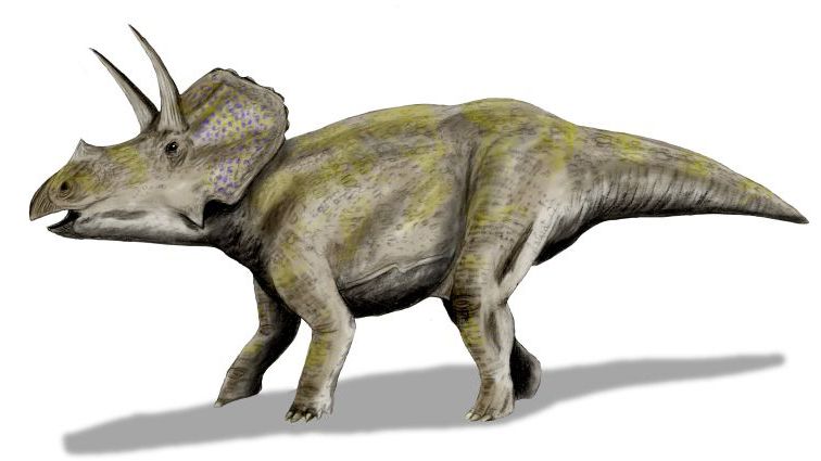 The Forgotten Story of Eotriceratops, T. rex's Giant Neighbor