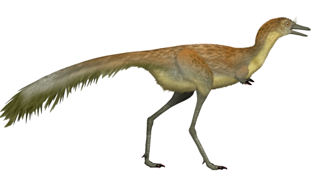 Did You Know Mononykus Had Arms Stranger Than T. rex?