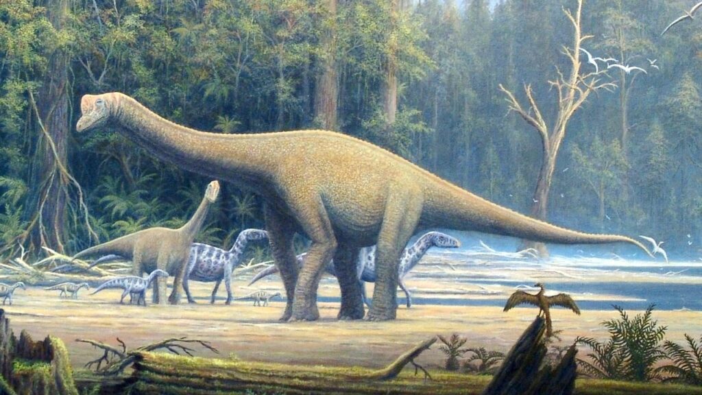 8 Things About Europasaurus That Prove Not All Giants Stayed Giant