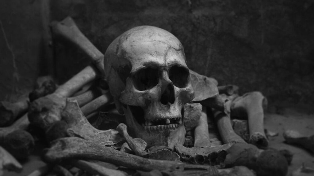Psychology Says Curiosity About Extinction Reflects Something Deeply Human
