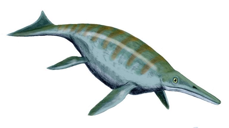 The Strange Story of Shonisaurus, the Giant Nobody Talks About
