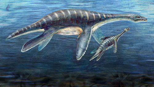 Did You Know Some Marine Reptiles Swam Like Penguins?