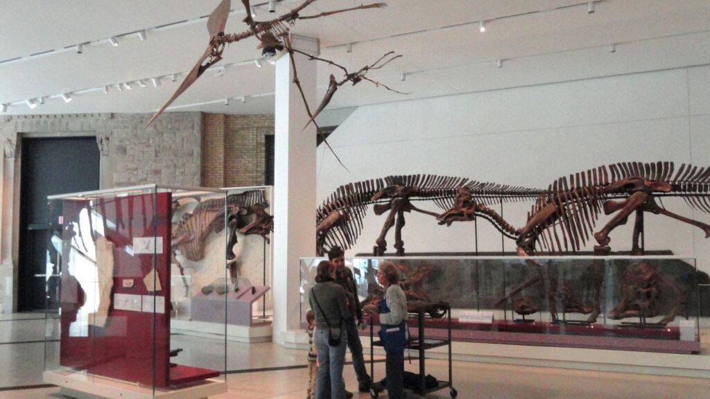 Why Dinosaur Science Gets Less Funding Than It Deserves - And What That Means for Discovery