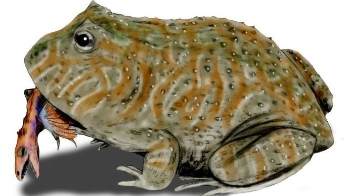 7 Prehistoric Creatures That Lived Alongside Dinosaurs That No Movie Has Ever Shown