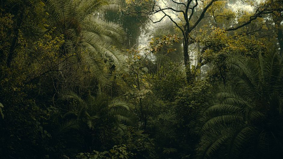 How Prehistoric Ecosystems Were So Wildly Different From Today That They'd Feel Like Another Planet