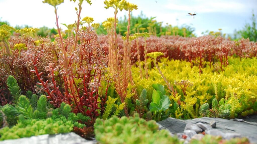 How Prehistoric Plants Were Completely Different From Anything Growing on Earth Today