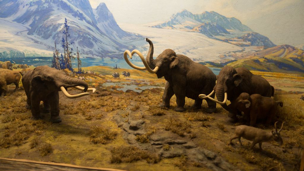 How the First Humans to Arrive in the Americas Probably Encountered Megafauna Straight Out of a Nightmare