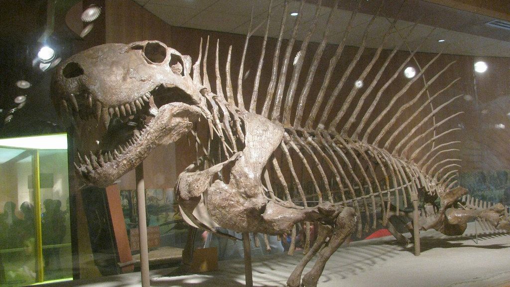 6 Times in Earth's History When Extinction Was Even Worse Than the One That Killed the Dinosaurs