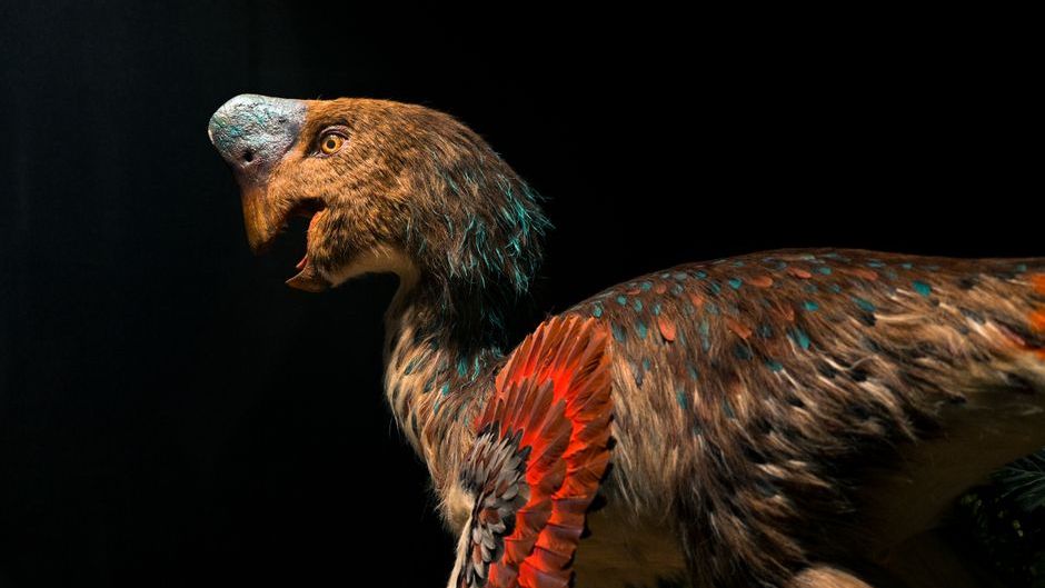 8 Dinosaurs That Were Actually Covered in Feathers and Looked Nothing Like Their Movie Versions