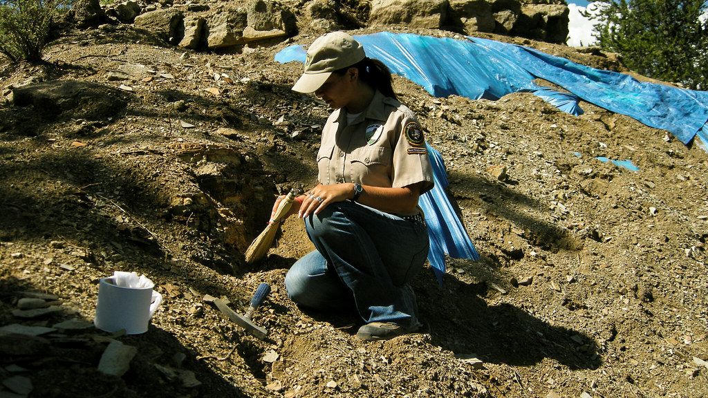 8 Prehistoric Discoveries Made by Complete Accident That Changed What Scientists Thought They Knew