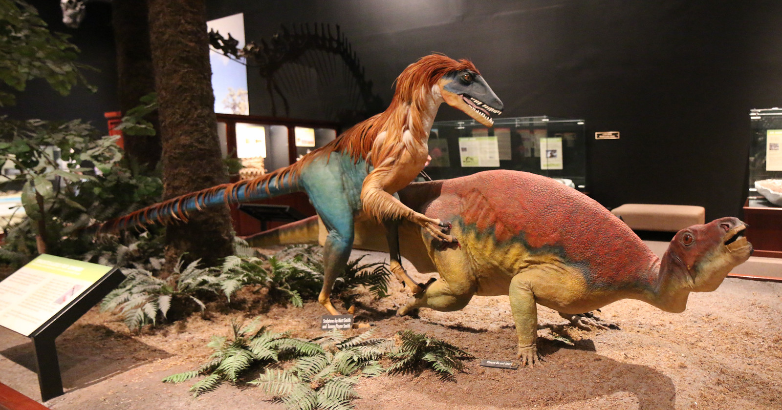 Deinonychus and Tenontosaurus: packs, ambushes, and desperate defenses